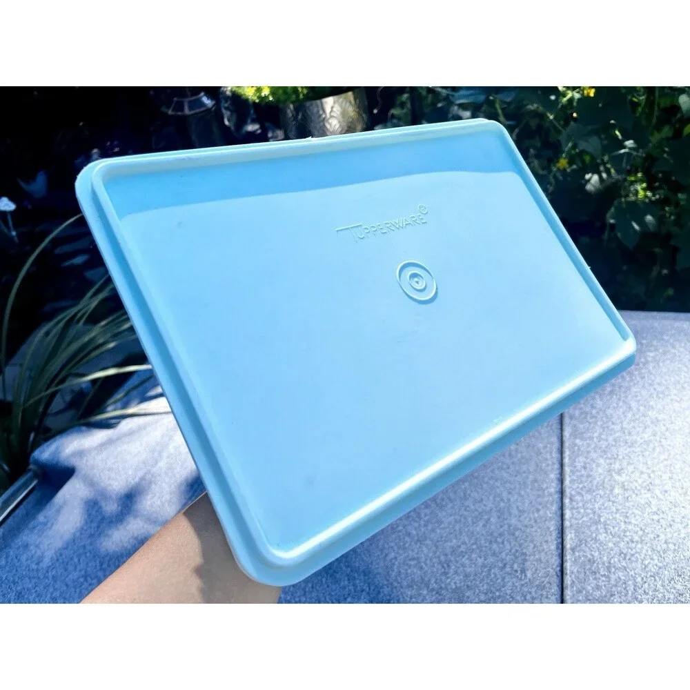 Vintage Tupperware 290-2 Snack N Stor Deli Keeper Blue Lid 291-10 13x9 USA